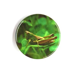 Badges and fridge magnets featuring a Grasshopper
