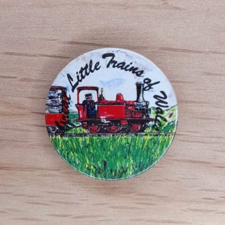 Great Little Trains of Wales – Vintage pin badge