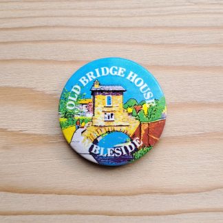 Old Bridge House - Vintage pin badge